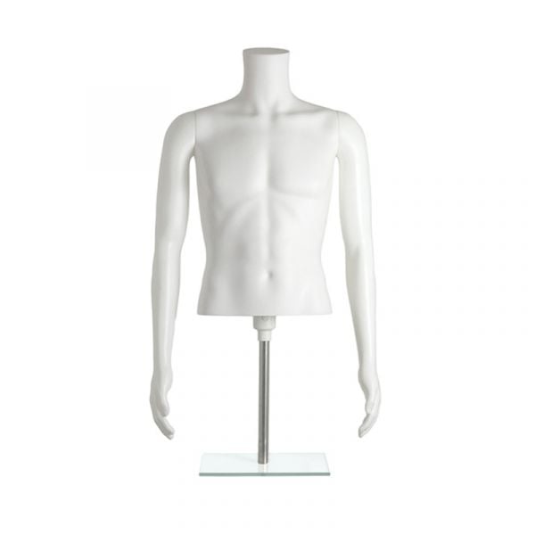 Plastic Male 1/2 Torso