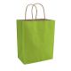 Paper Shopping Bag Lime Green 8x5x10